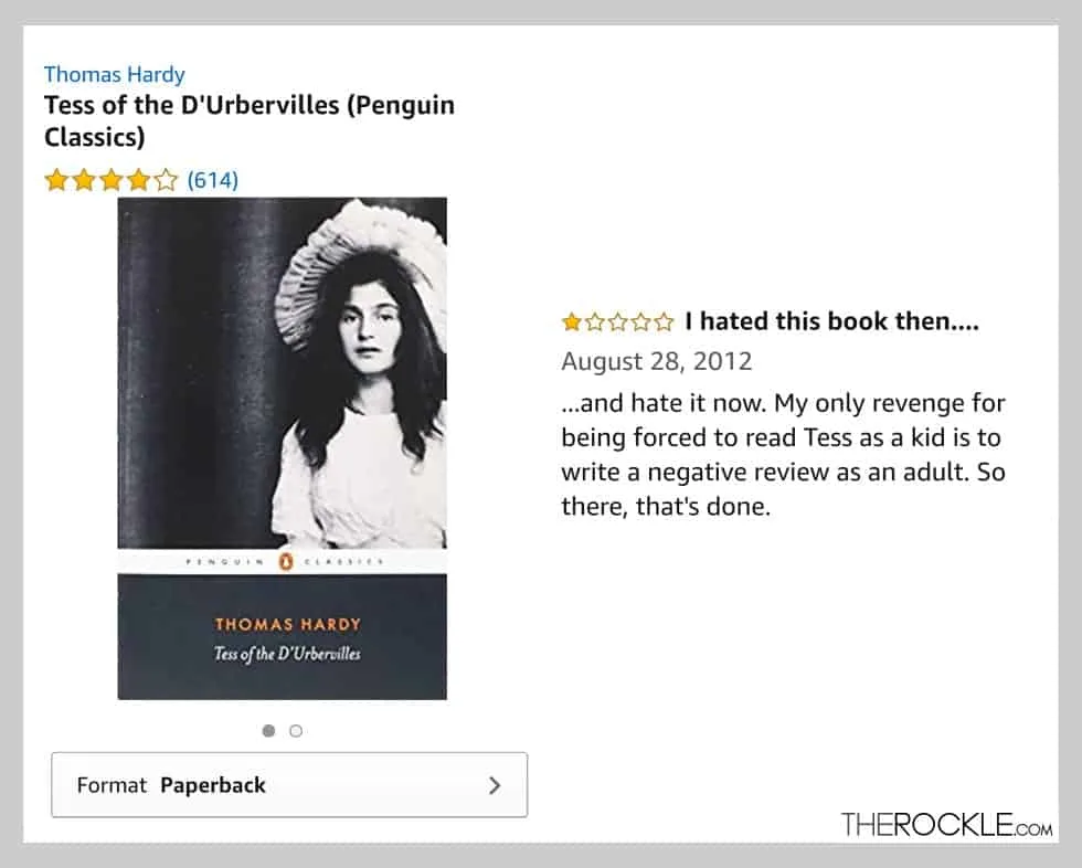 Funny amazon book review