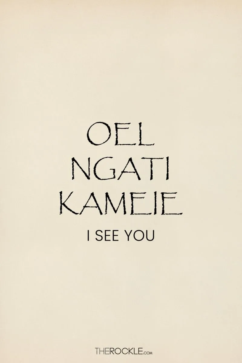 Fictional languages: "Oel Ngati Kameie" - greeting in fictional language Na'vi 
