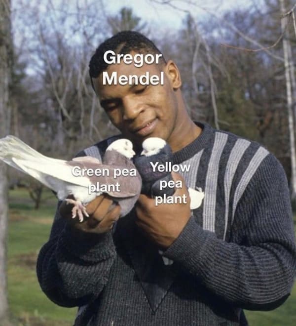 Gregor mendel science meme