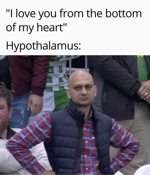 hypothalamus science meme