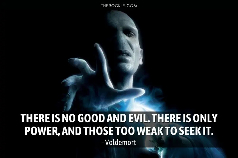Voldemort, the Harry Potter vilain