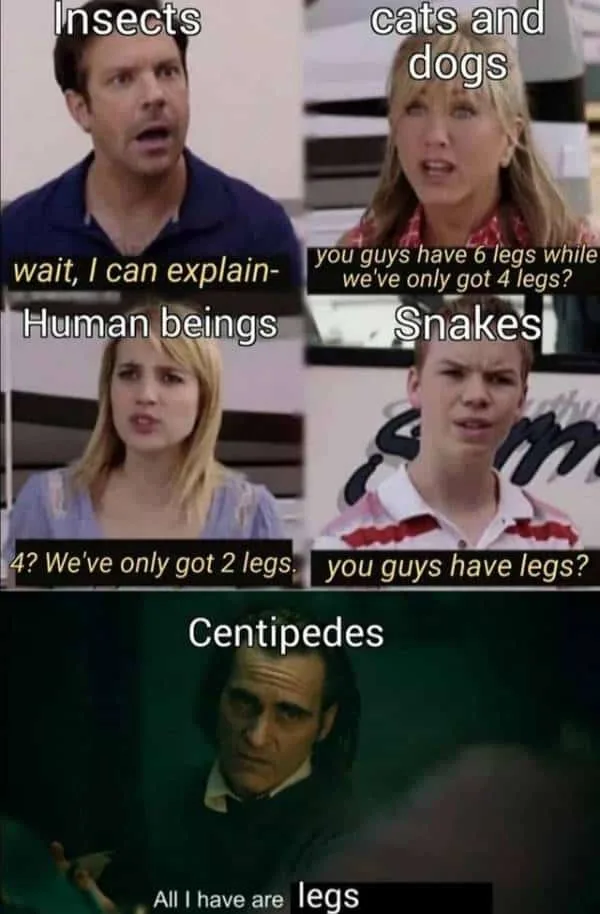 Animal legs science meme