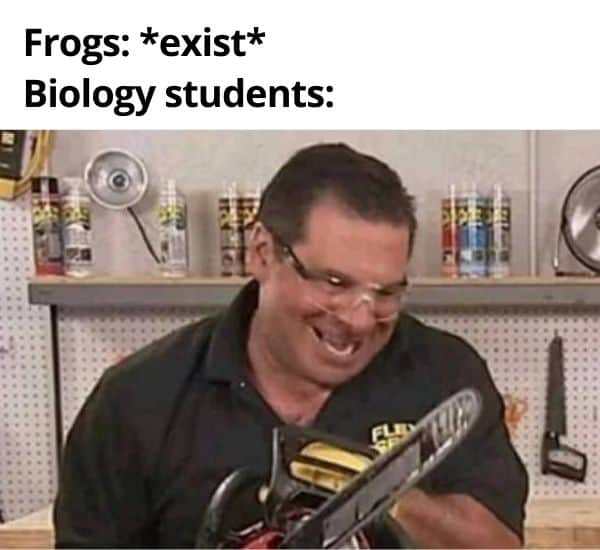 biologists and frogs funny science meme