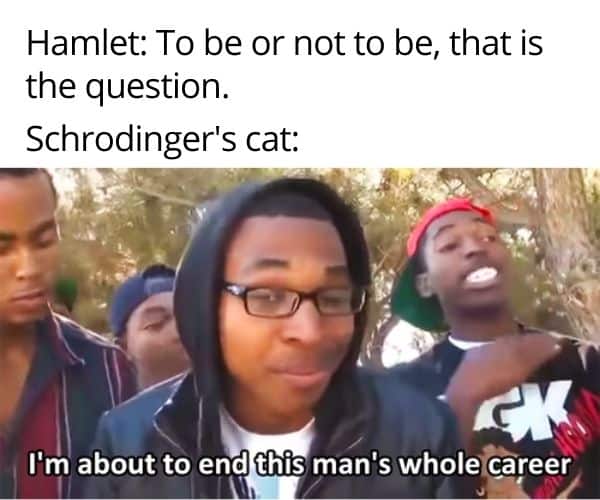 Schrodinger's cat meme