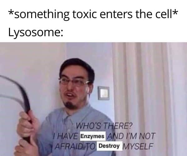 Lysosome funny meme
