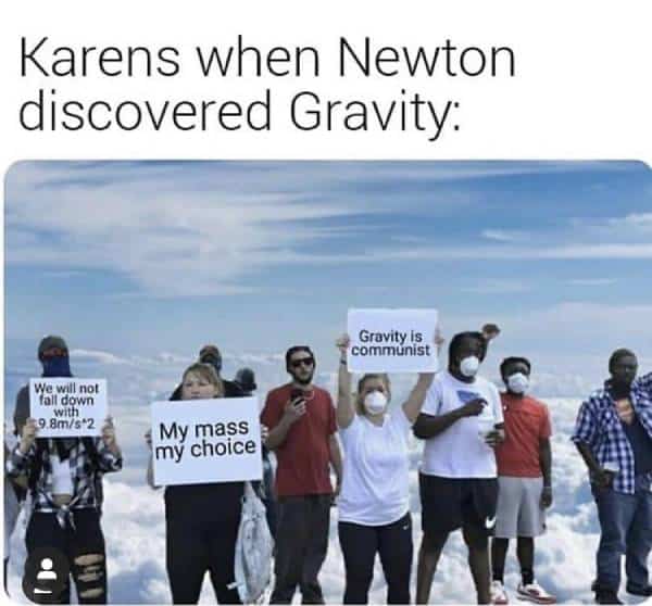 newton's gravity meme