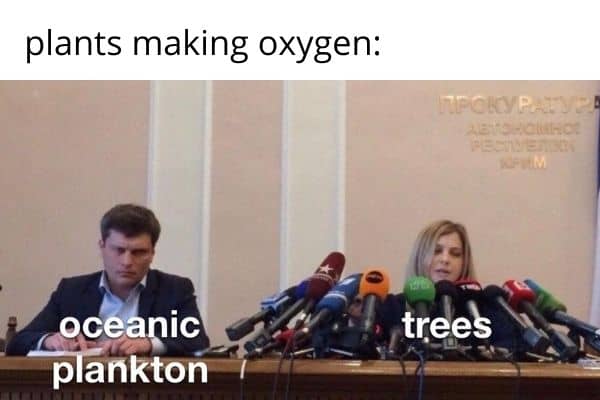 plants making oxygen science meme