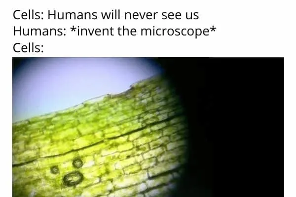 cells and microscope meme