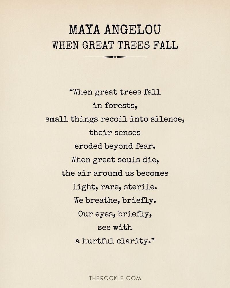 When Great Trees Fall Printable Printable Word Searches