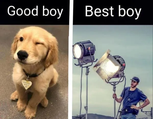 Good boy & best boy meme