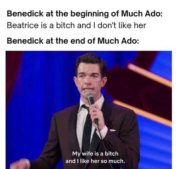 Much Ado About Nothing funny shakespeare meme