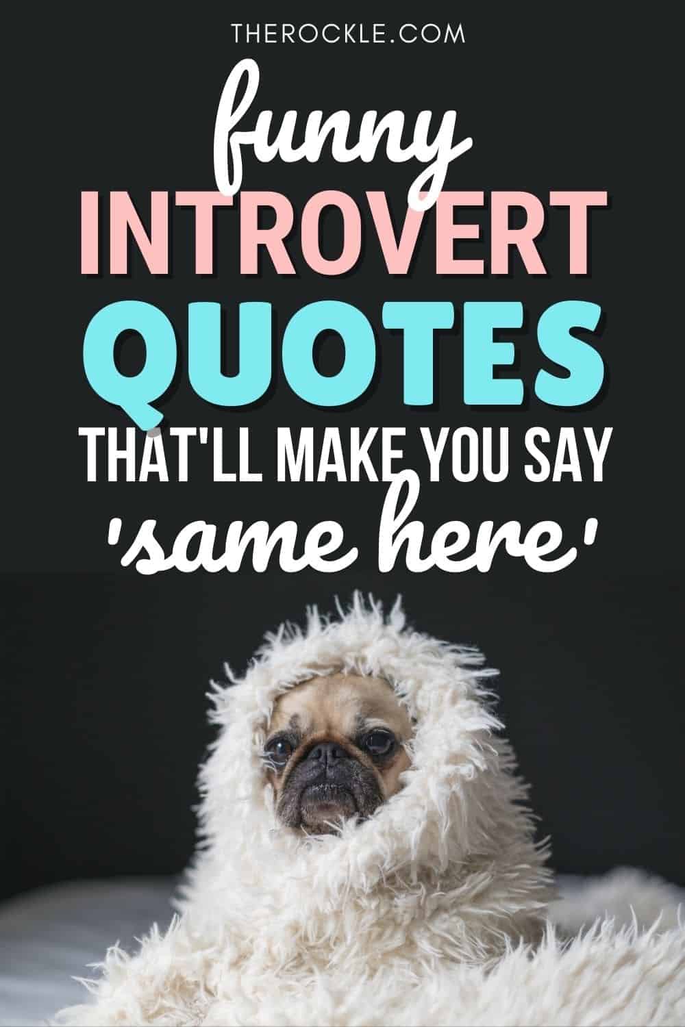 Funny Introvert Quotes That'll Make You Say 'Same Here' | THE ROCKLE