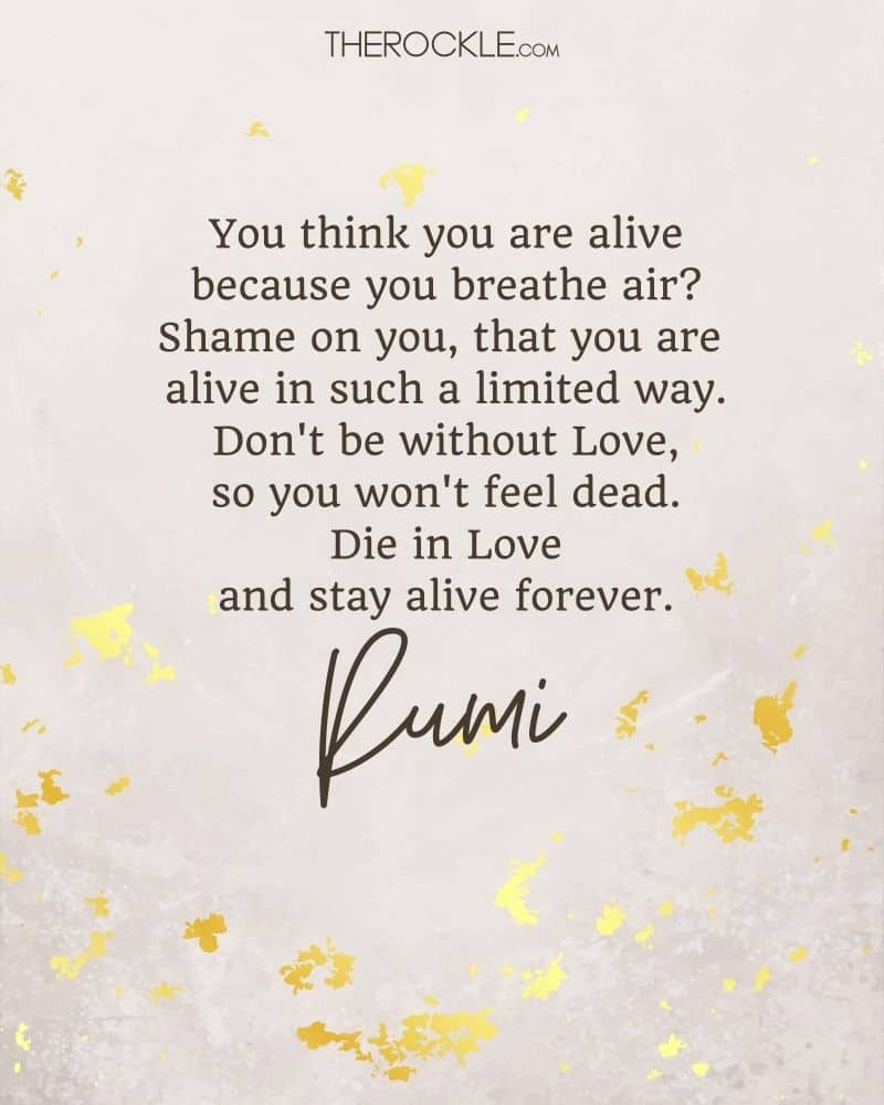 مولانا حکیم می گوید: «فکر می کنی زنده ای چون هوا نفس می کشی؟ شرم بر شما که اینقدر محدود زنده اید. بدون عشق نباش تا احساس نکنی مرده ای. عاشقانه بمیر و برای همیشه زنده بمان.»