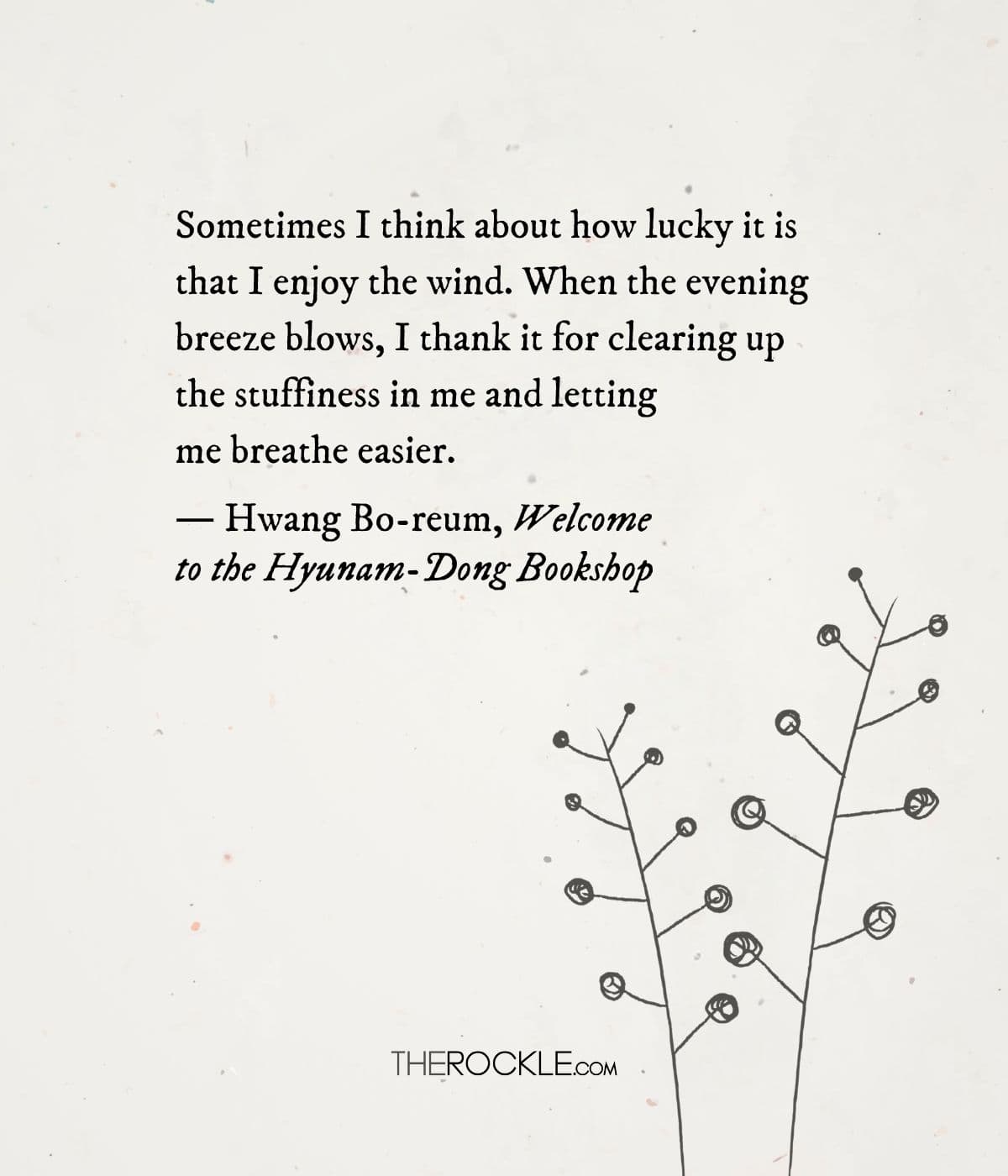 Hwang Bo-reum's book quote on finding solace in simple pleasures