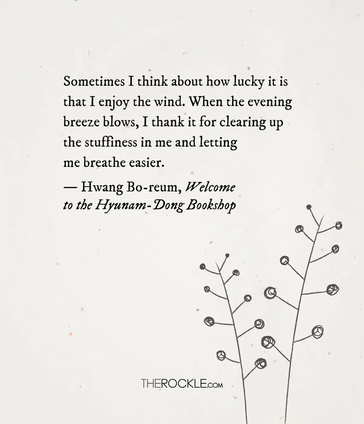 Hwang Bo-reum's book quote on finding solace in simple pleasures