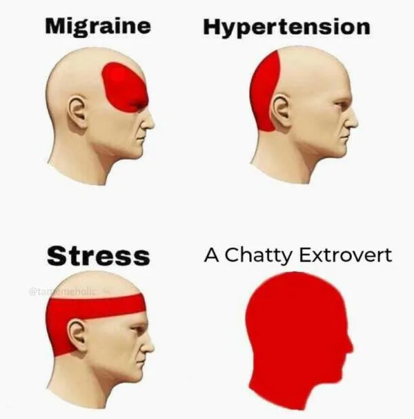 Types of introvert headaches meme
