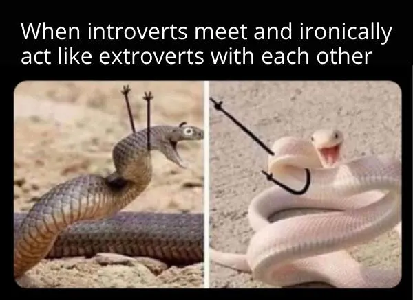 when introverts meet and ironically act like extroverts meme