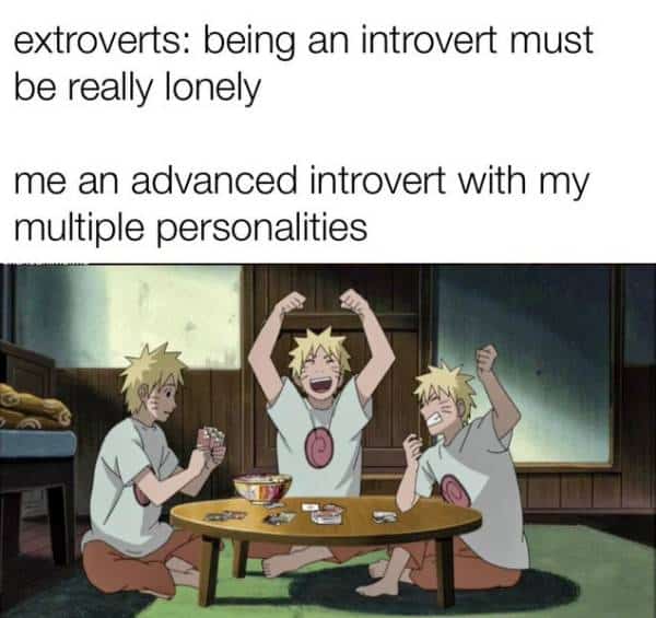 advanced introvert meme