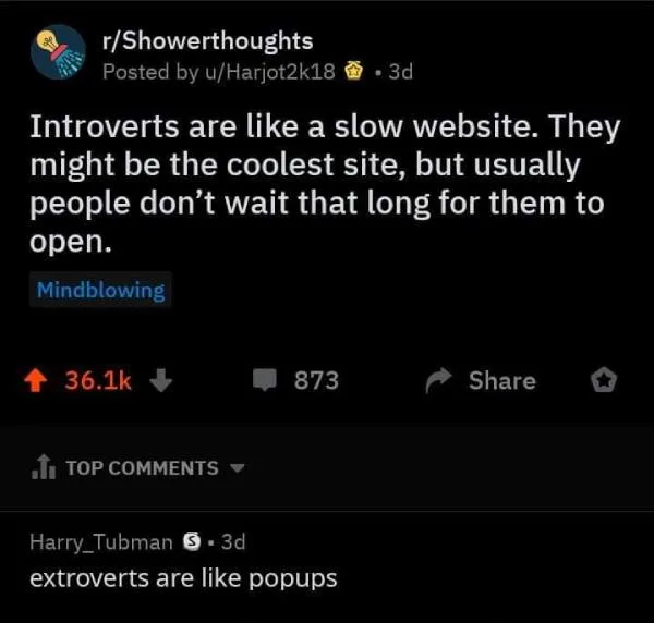 Introverts are like a slow website meme 