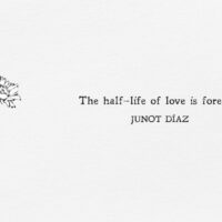 Short love quote on an illustrated background