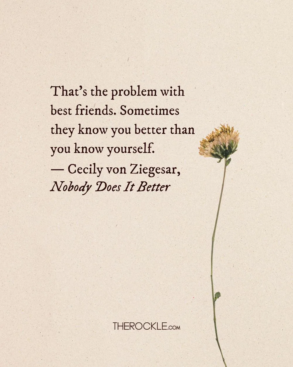 Cecily von Ziegesar on understanding between best friends