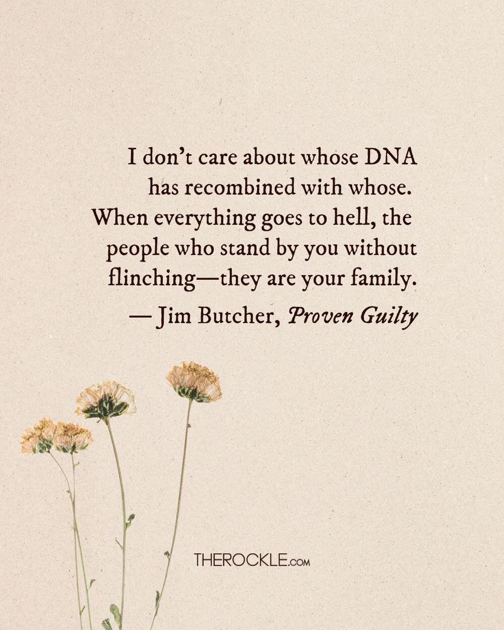 Jim Butcher quote on friendship and support through hard times