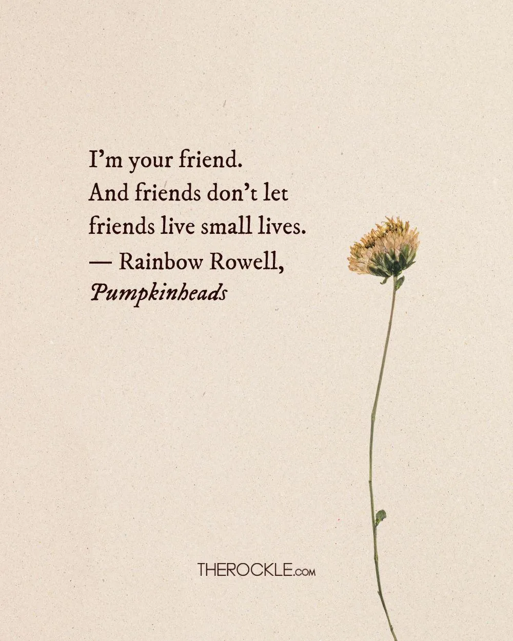 Rainbow Rowell on friendship and encouragement